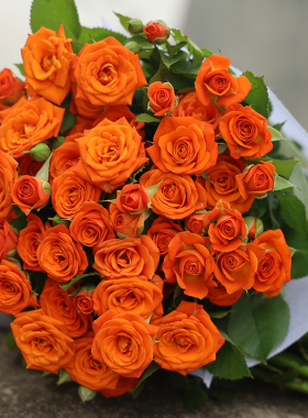 橙色芭比多头玫瑰折射泡泡一束云南基地鲜花现摘发货玫瑰鲜花红玫