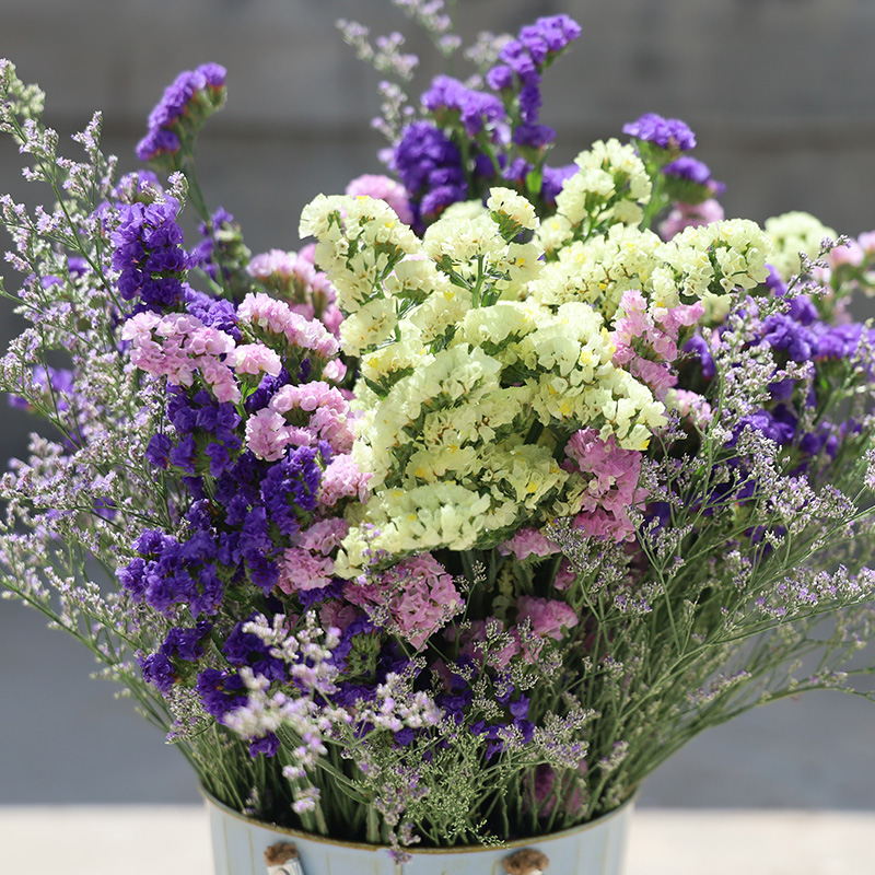 云南基地勿忘我婚礼鲜花