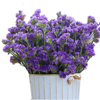 云南基地勿忘我婚礼鲜花