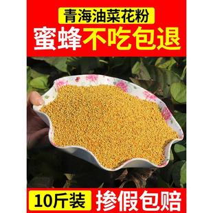 新油菜花粉鲜喂蜂专用油菜杂颗粒中意蜜XEE蜂粮饲料新花粉粉养蜂