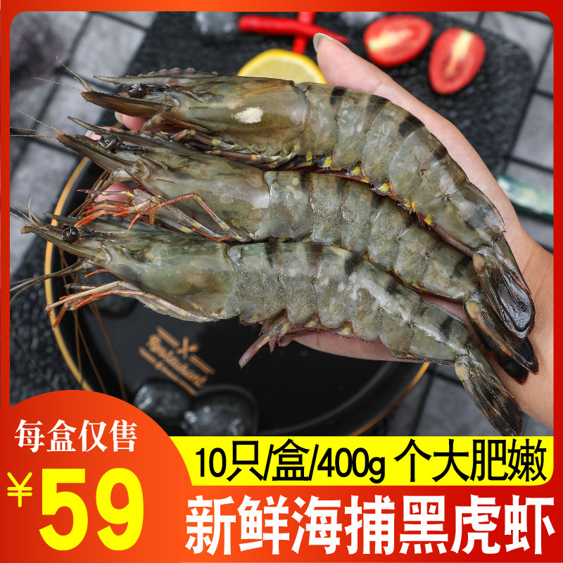 黑虎虾鲜活大虾超大速冻海鲜水产特大虾类海虾虎虾斑节九节老虎虾