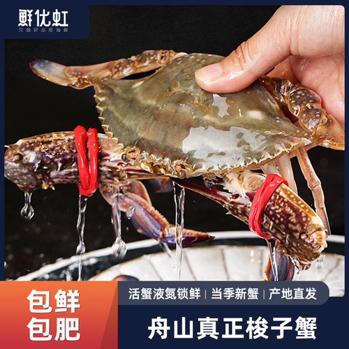 海螃蟹东海野生新鲜液氮活冻