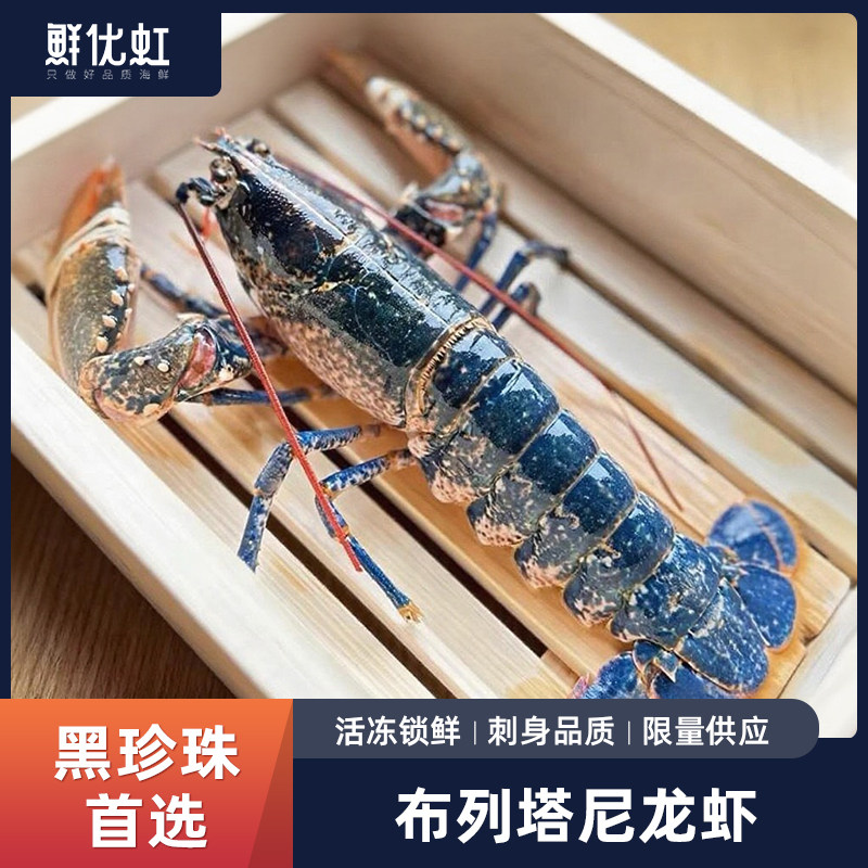 法国布列塔尼蓝龙虾鲜活整只冷冻欧洲波士顿大龙虾活冻非澳洲龙虾