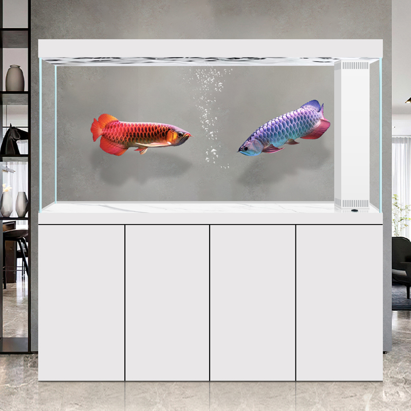 龙鱼缸客厅大型超白玻璃屏风隔断家用生态落地式金鱼缸底滤水族箱