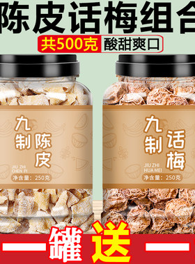 陈皮话梅酸甜爽口梅类制品500克