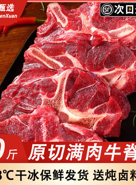 内蒙古原肉原切满肉牛脊骨整根牛蝎子冷冻炖汤火锅牛背脊带肉商用