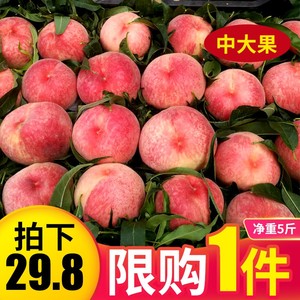 河北水蜜桃5斤新鲜艳红燕红绿化九久保大桃子硬桃脆甜北京平谷10