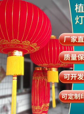大红绒布铁口灯笼大门口一对新年元旦酒店广场户外特大定制宫灯笼