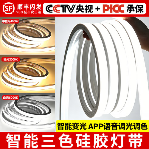 智能三色硅胶线形灯带220v24v