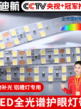Ra98显全光谱灯带24vLED贴片灯条8mm10mm高亮护眼无频闪线型线条
