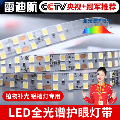 雷迪航灯带全光谱98显指24v低压