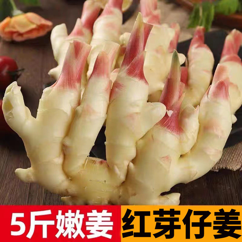 现挖山东红芽嫩姜新鲜5斤鲜姜子姜泡姜芽腌制蔬菜嫩仔姜嫩生姜_虎窝淘