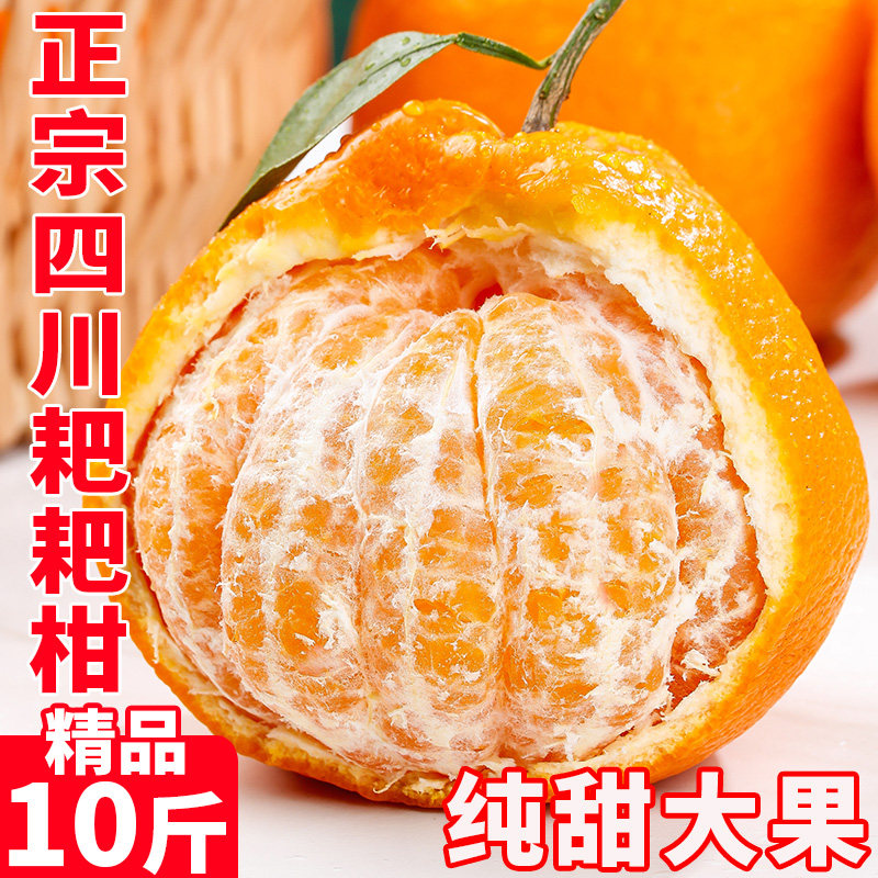 四川春见耙耙柑新鲜10斤水果时令正宗粑粑柑当季整箱丑桔子柑橘子,水产肉类/新鲜蔬果/熟食,桔子,淘宝优惠券,粉丝福利购,淘宝优惠卷