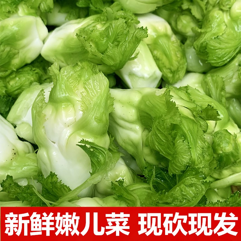 四川儿菜新鲜5斤娃娃菜