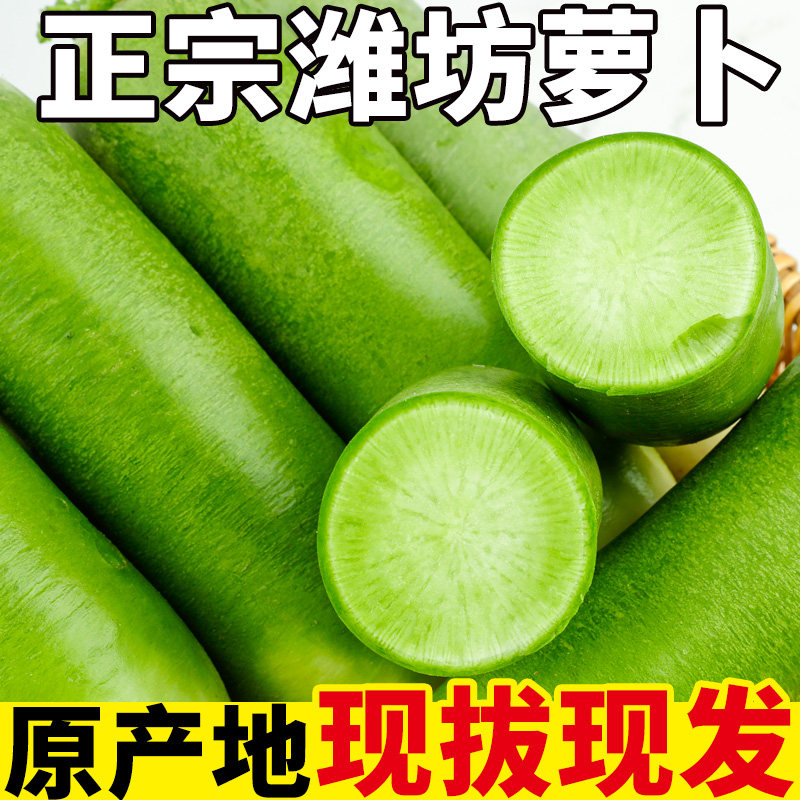 正宗山东潍坊萝卜甜脆水果型潍县萝卜当季整箱特产新鲜青萝卜,水产肉类/新鲜蔬果/熟食,萝卜/胡萝卜,淘宝优惠券,粉丝福利购,淘宝优惠卷