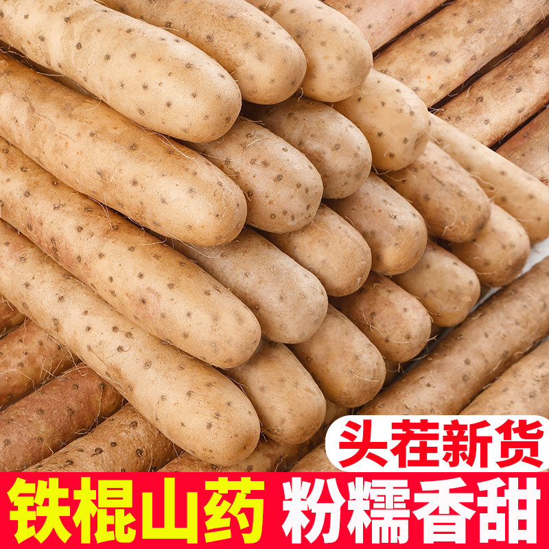 小白嘴山药5斤正宗铁棍山药新鲜