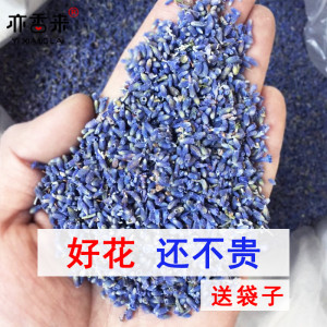 薰衣草干花香包熏衣草花散装花粒枕头填充物安神助眠香囊香袋香料