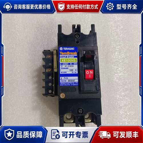 议价寺崎断路器TemBreak XE100NS，2P 100A，可维修