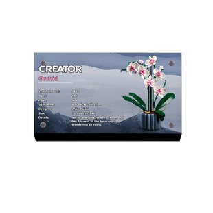 LYB乐一百适用乐高10311蝴蝶兰花绿色植物盆景模型亚克力展示铭牌