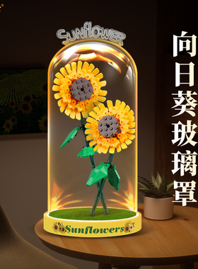 LYB乐一百适用乐高40524向日葵展示盒玻璃罩带灯一体式模型收纳盒