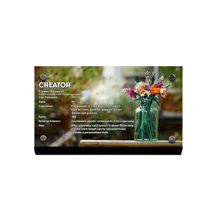 light your bricks适用于乐高21326小熊维尼专用积木模型展示铭牌