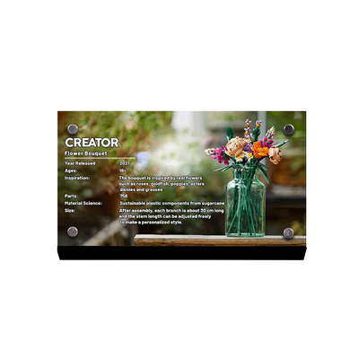 light your bricks适用于乐高21326小熊维尼专用积木模型展示铭牌