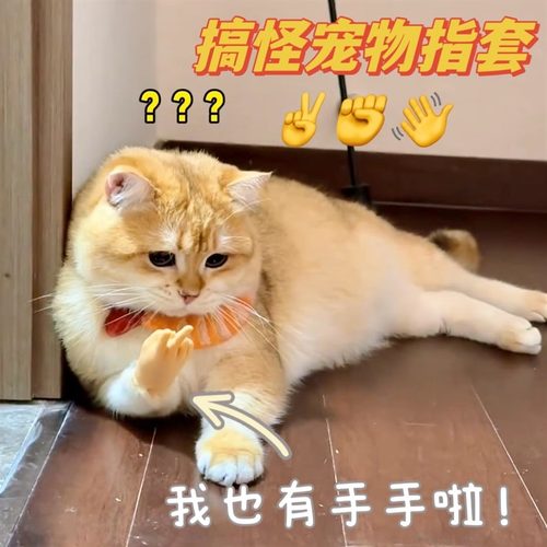 抖音同款搞笑猫咪指套手套宠物迷你剪刀手势橡胶玩具搞怪拍照道具