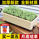 阳台种菜盆专用箱长方形蔬菜种植盆户外自吸水草莓盆栽塑料花盆大