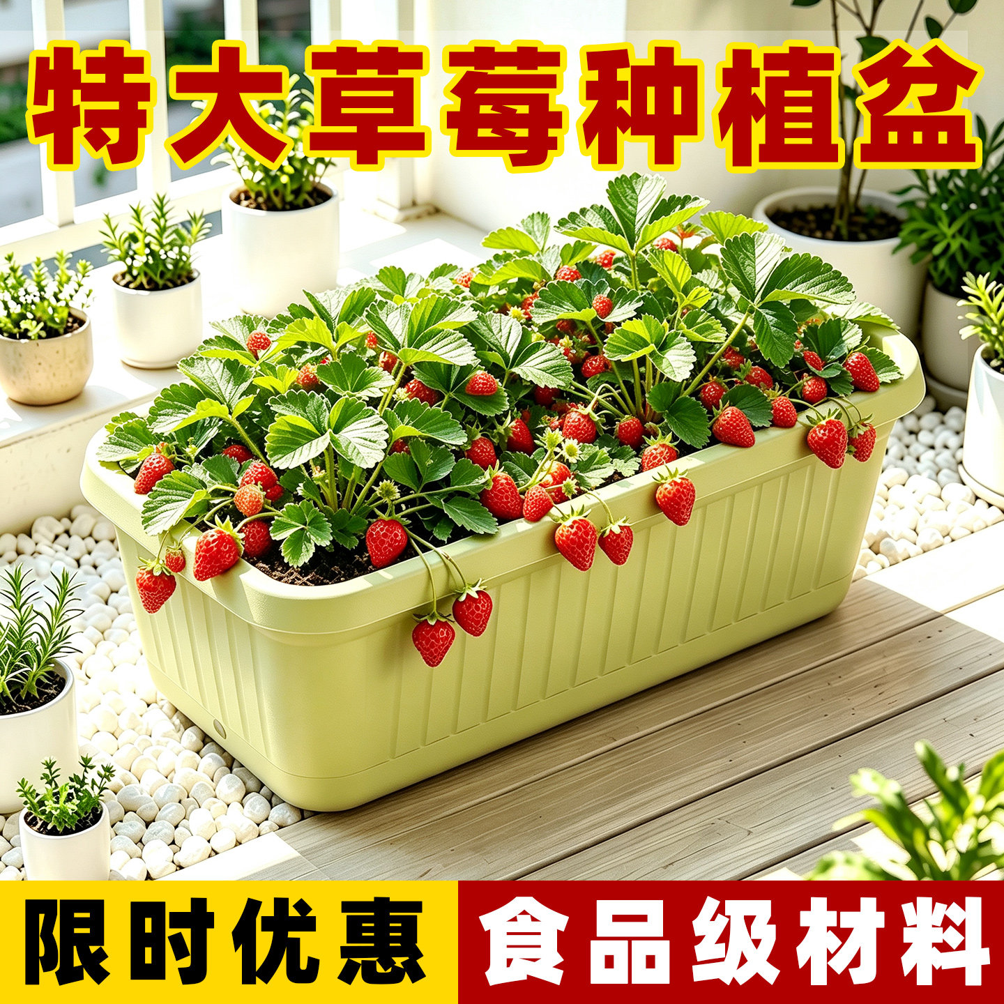 阳台专用种菜盆专用箱食品级材质