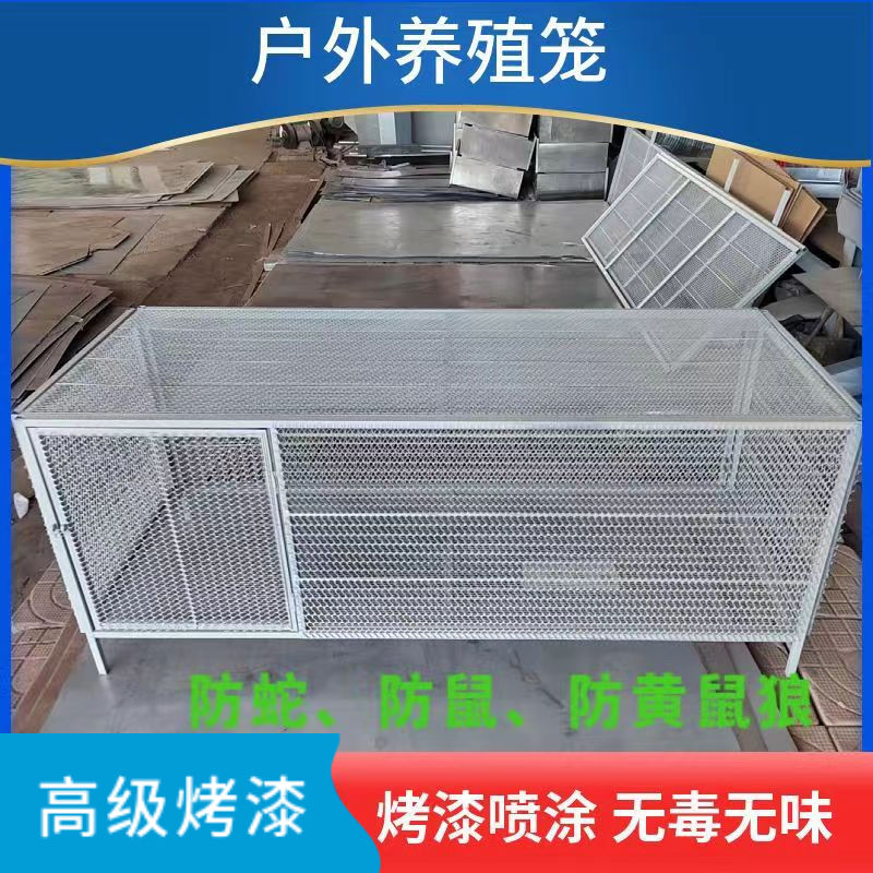 鸡笼鸽笼兔笼家禽笼防鼠
