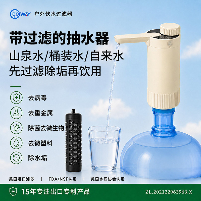 桶装水山泉水带过滤抽水器井水自来水电动家用污水过滤器上水器