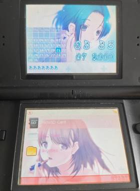 R4烧录卡兼容版nds烧录卡ndsl烧录卡3ds烧录卡游戏机烧录卡2G版