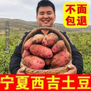 宁夏西吉土豆新鲜红皮黄心沙面农家洋芋马铃薯定西高山自种应季 吃