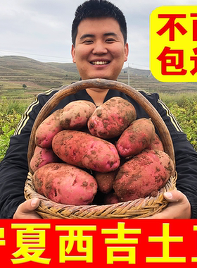 宁夏西吉土豆新鲜红皮黄心沙面农家洋芋马铃薯定西高山自种应季吃