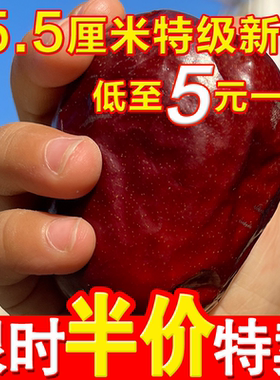 新疆和田大枣官方旗舰店红枣干货整箱10斤批发枣子新鲜特级泡水喝