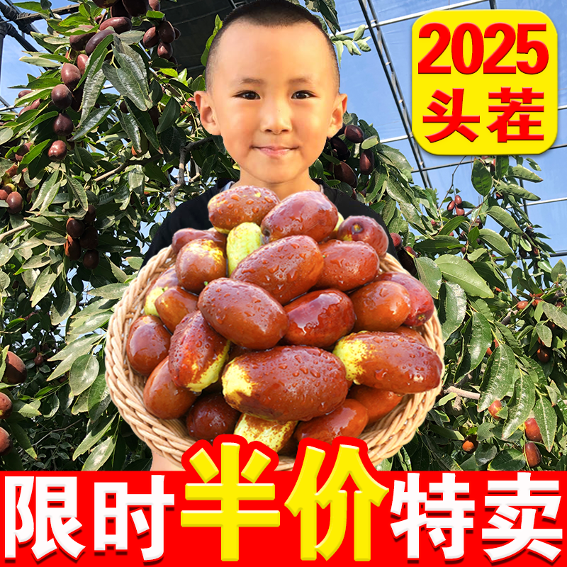 2024现摘灵武长枣大果脆甜超爽口