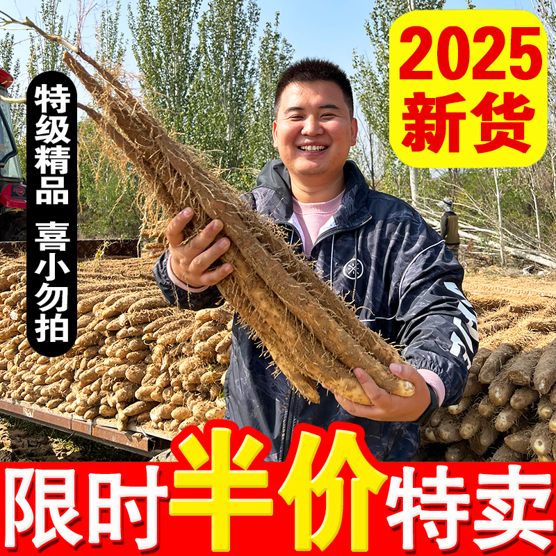 宁夏白玉山药正宗新鲜5斤现挖铁杆官方旗舰店垆土即食小白嘴山药
