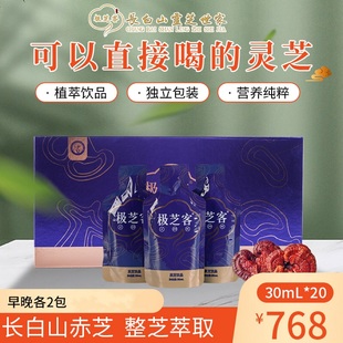 极芝客 30ml 20袋 灵芝原液灵芝饮品