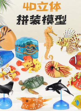 仿真模型玩具海洋动物4D立体拼装鲨鱼鹦鹉螺小丑鱼鲸鱼海马螃蟹
