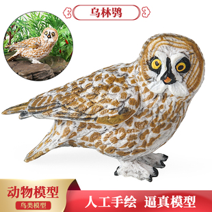 儿童玩具仿真实心飞禽鸟类动物模型乌林鸮猫头鹰认知玩具摆件礼物