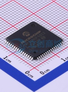 数字信号处理器(DSP/DSC) DSPIC30F6012A-30I/PF TQFP-64 MICROCH