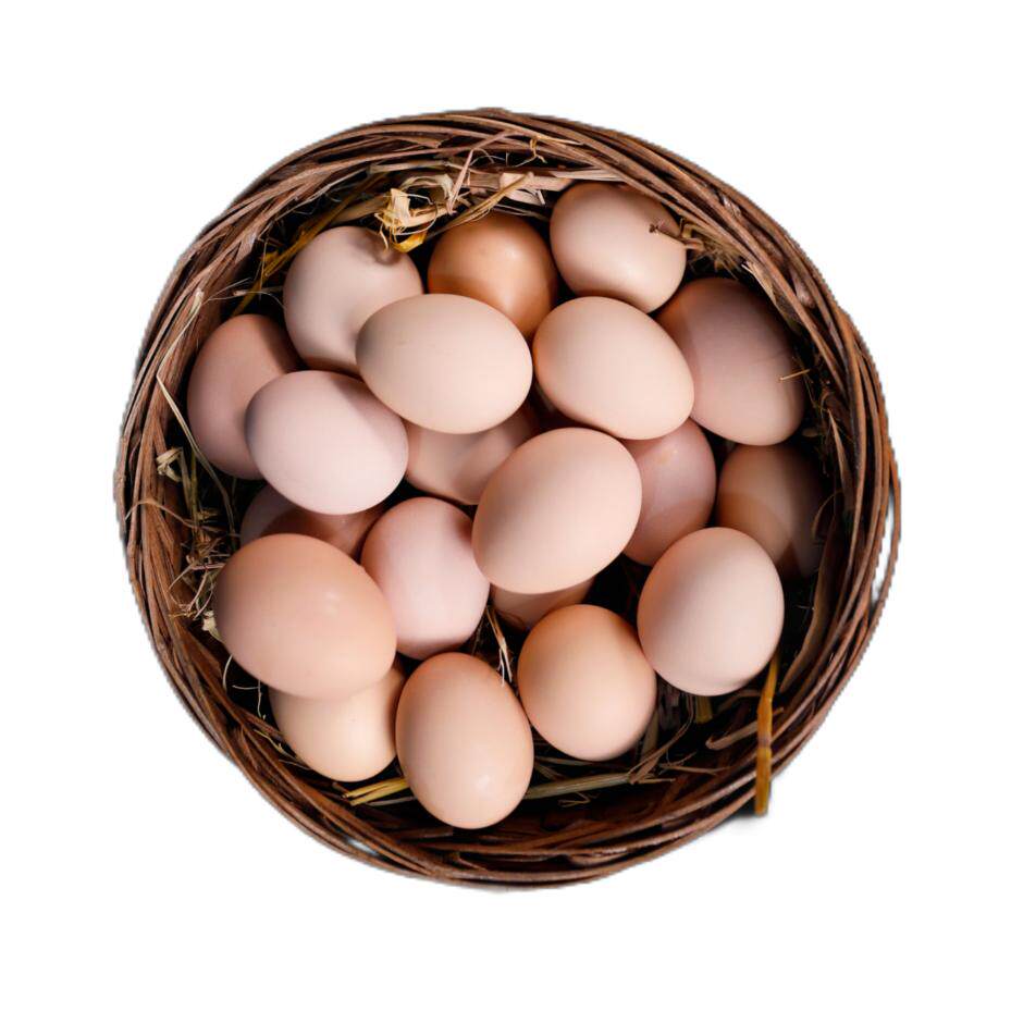 【食色鲜野】九华山正宗农家散养土鸡蛋新鲜笨鸡蛋自养草鸡蛋20枚