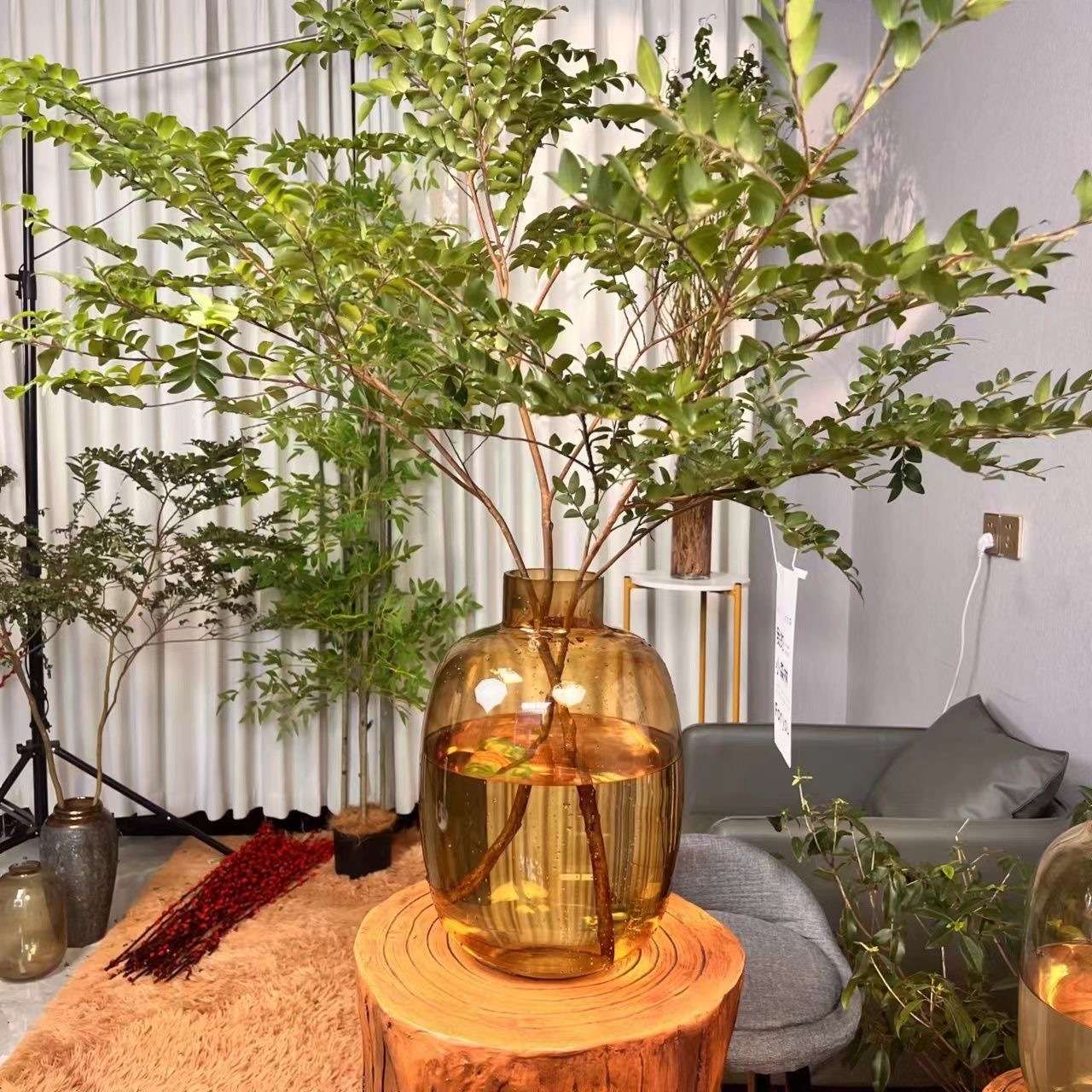 马醉木高级感玻璃花瓶家居客厅