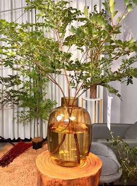 马醉木高级感玻璃花瓶家居客厅
