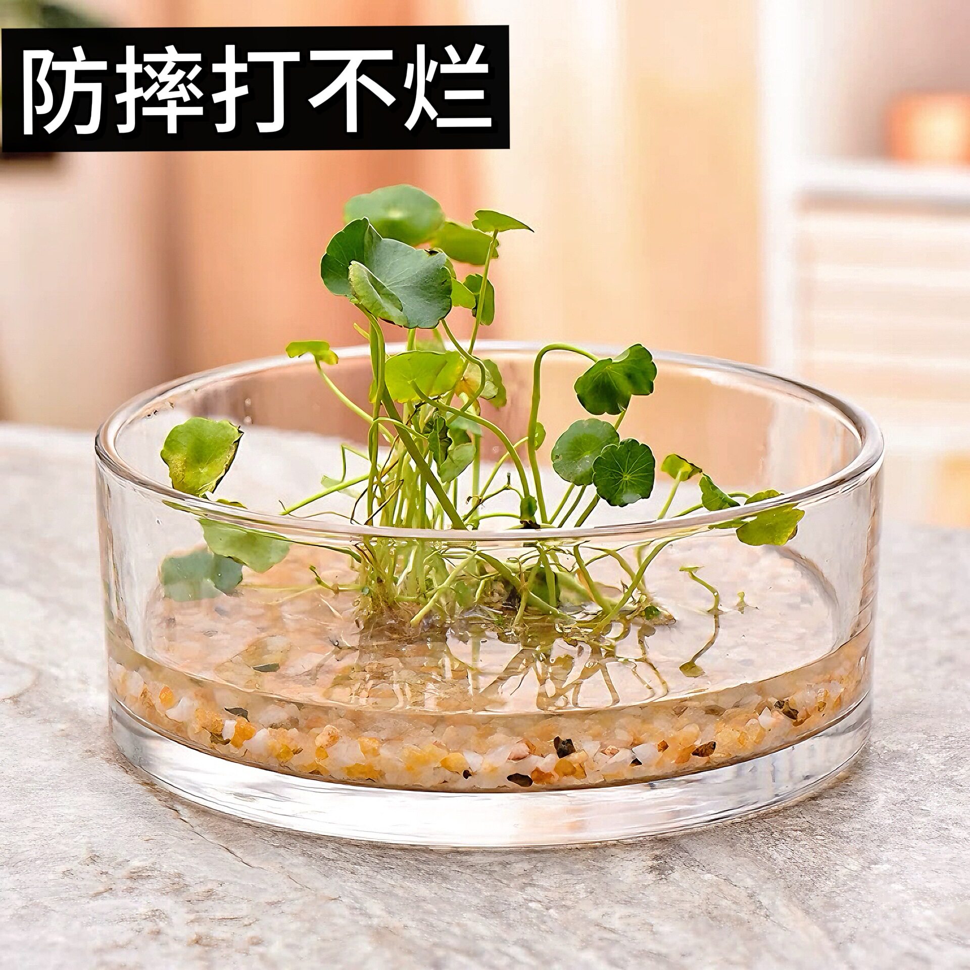 透明圆缸水培圆缸花器客厅桌面
