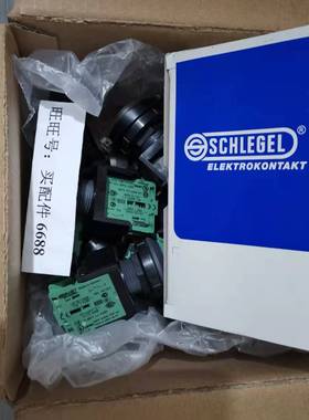 ELETTA V1-GL20 流量开关