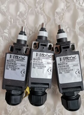 R+W KLINGENBERG 618.6740.644行程开关