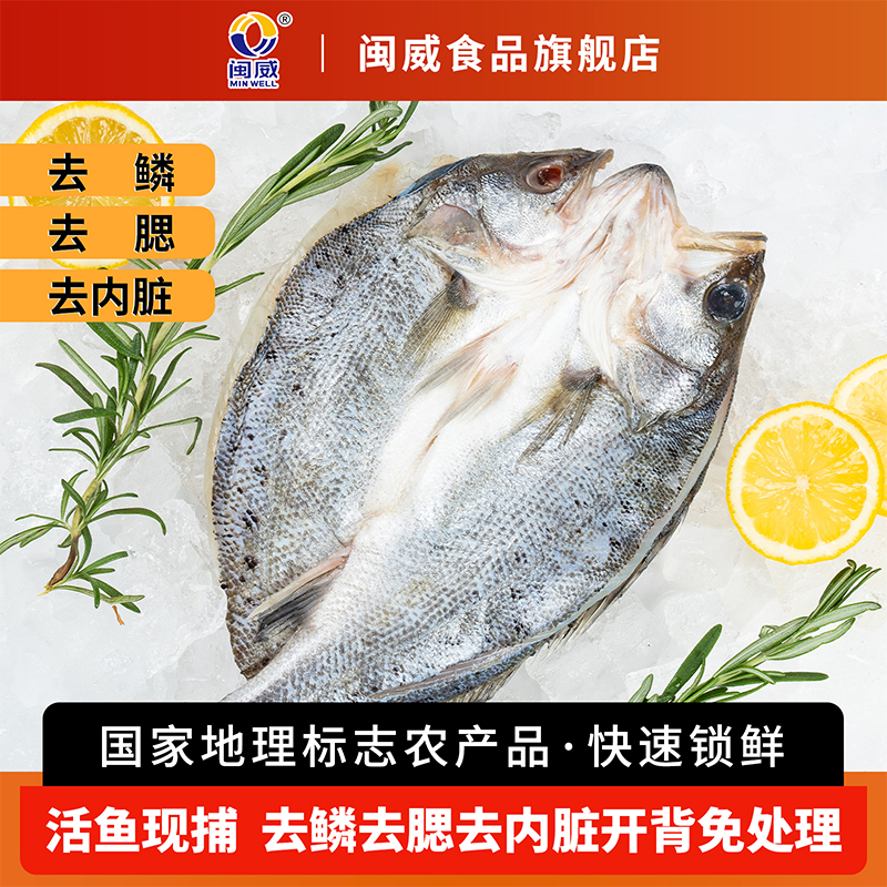 闽威三去开背免处理冰鲜海鲈鱼