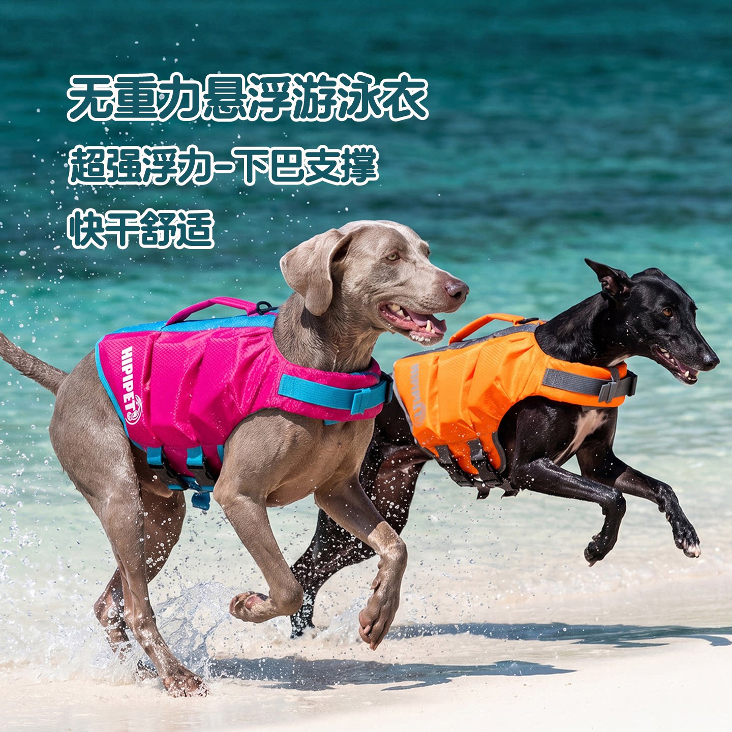 宠物超强浮力救生泳衣防溺水