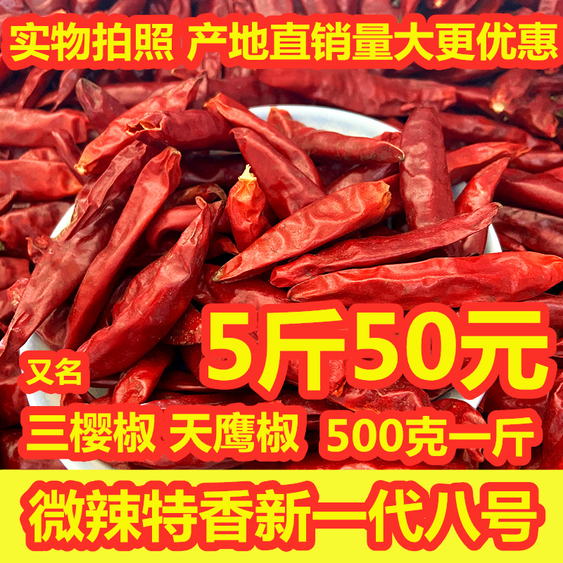 微辣超红特香安徽板面火锅红油料河南三樱天鹰椒朝天椒八号新一代